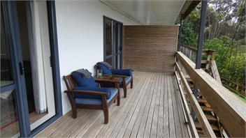 Explore bush and beach - Auckland