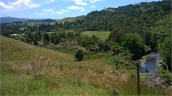 Waitawheta Cottage - Waihi