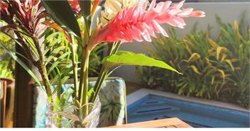 PACIFIC BREEZE RETREAT - TUPAPA - Cook Islands