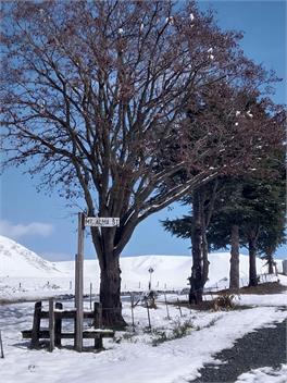 Bach - Holiday Home -
