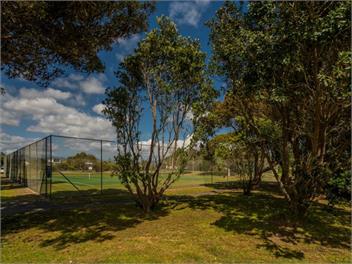 Hosts on the Coast Taranui's Nest - Matarangi