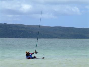 Northwind Lodge - Houhora