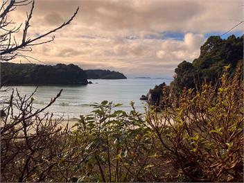 Kererū House - Rakiura/Stewart Island - Oban, Stewart Island