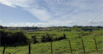 Hideaway Cottage - Tauranga