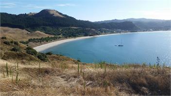 Paradiso - Whitianga