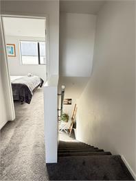 Freyberg - Hagley Park doorstep - Bookahome - Christchurch