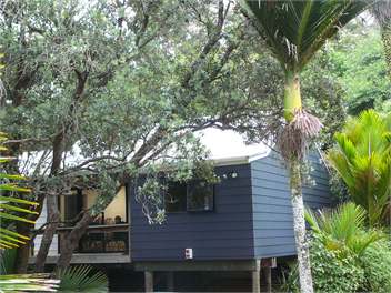 Palm Beach " Among The Trees" - Waiheke Island