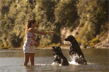 Rathmoy Riverside Lodge - Hunterville