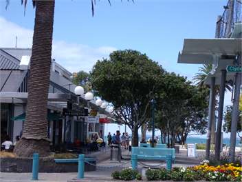 Village Apartment - Cafes - Beach & Pool!! -North Shore - Auckland