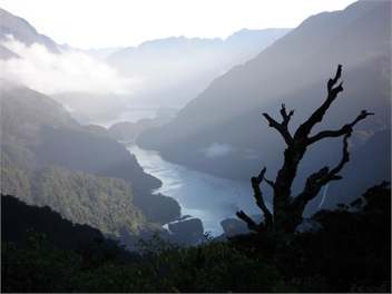 Kepler Mountain View Alpaca Cottage - Free Unlimited Wi-fi - Manapouri