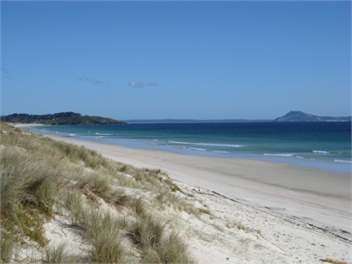 Puka Bach - beach paradise on your doorstep - Tokerau Beach
