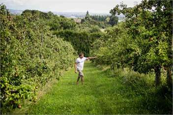 The Pear Orchard Lodge - Richmond