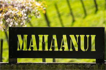 Mahaanui Cottage Farmstay Experience - Gisborne 4078 New Zealand