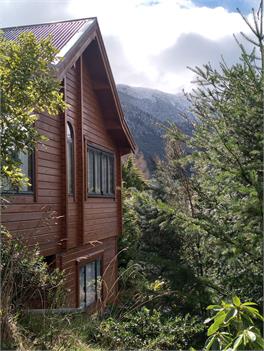 Black Bear Lodge - Hanmer Springs