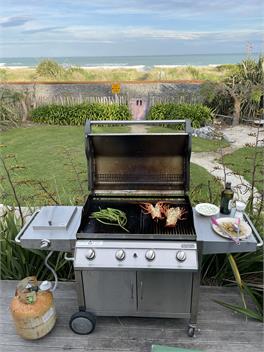 Surfers Paradise - Kaikoura
