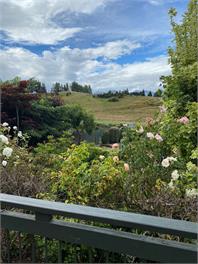 Rippon Lea - Wanaka - Wanaka