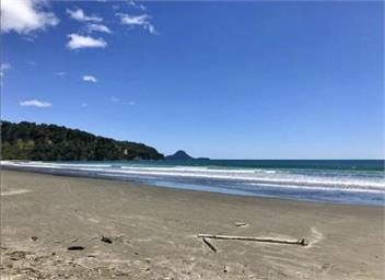 Pacific Paradise - Ohope