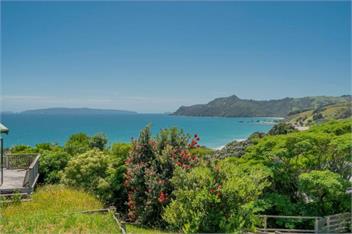 Hosts on the Coast Puriri Pride - Whitianga