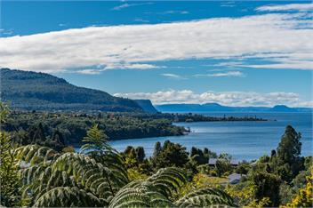 Lakeview Bush Hideaway (Bachcare) - Pukawa