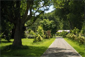 Poplar Cottage - Masterton