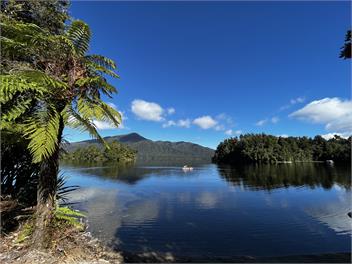 Punga Heights - Lake Kaniere