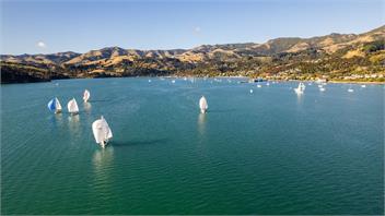 Cosy Studio, walk to Village - Akaroa Hideaway - Akaroa