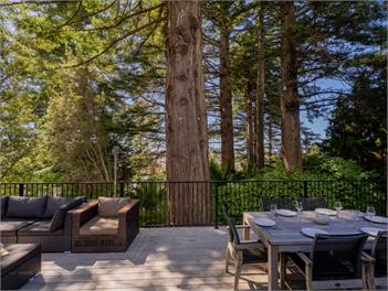 Modern Coastal Tree House (Bachcare) - Whangamata