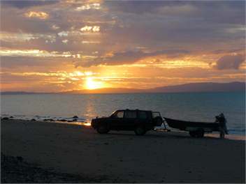 Ngarimu Bay - Thames Coast