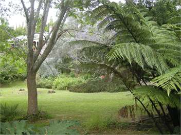 FLOYD COTTAGE Birdsong & Bananas - KOHUKOHU