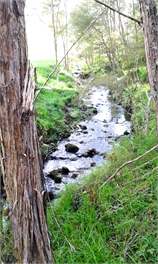 Linburn Farmstay - Gisborne