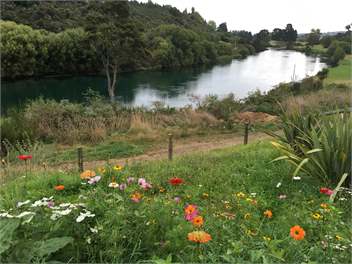 Awahuri - Waterfront River bend retreat (the Modern Bach!) - Taupo