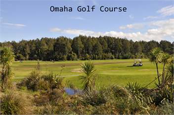 Tropical Omaha - Omaha