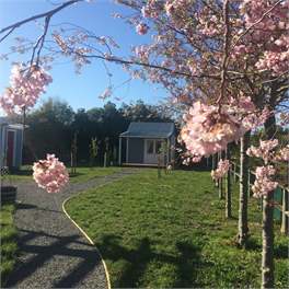 The Depot - Martinborough
