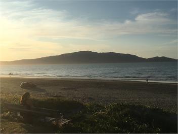 Holiday on Henare, Olde Beach Waikanae. - Waikanae