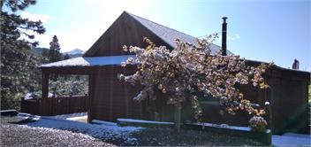 Black Bear Lodge - Hanmer Springs