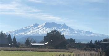 Three homes side by side for 36 people - ohakune