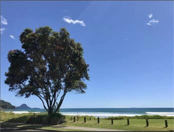 Pacific Paradise - Ohope