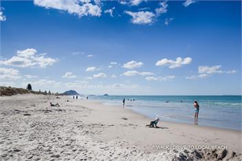 Sunny, Stylish & Spacious – Perfect for Families! - Tauranga