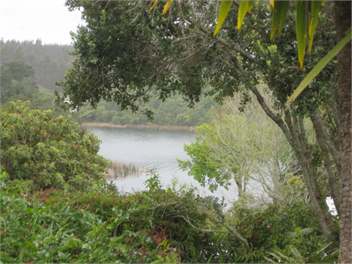 Rotoiti/Okere Falls - Te Weta Bay - Rotorua