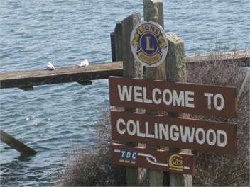 A1 Abode @ Collingwood - GOLDEN BAY