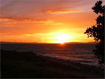 Ngarimu Bay - Thames Coast