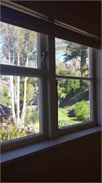 Hidden Treasure in Remuera - Auckland