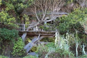 Anaura Bay Absolute Beachfront Retreat - Cottage # 3 -