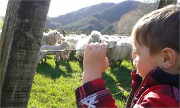 Linburn Farmstay - Gisborne