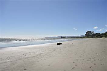 Absolute Beach Front at Patons Rock - Takaka