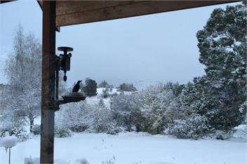 Stunning Rural Spot with Amazing Views - Queenstown