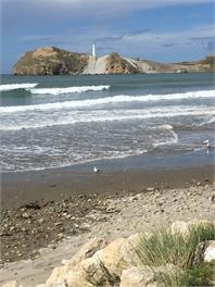 Number 44 - Castlepoint Beach