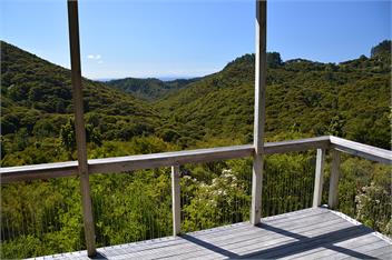 The Treehouse - Whitianga - Whitianga 3592