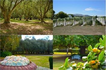 Omarere Homestead - Martinborough