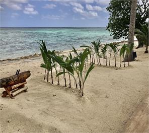 Out of the Blue Fiji - Sunny days Solar Ways - Beach Front Location - Sigatoka